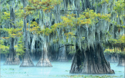 Blue Bayou Drapery