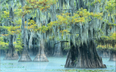 Blue Bayou Drapery