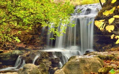 Tanyard Creek Falls #2