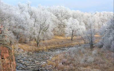Frosted Creek